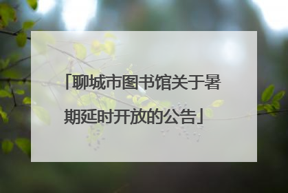聊城市图书馆关于暑期延时开放的公告