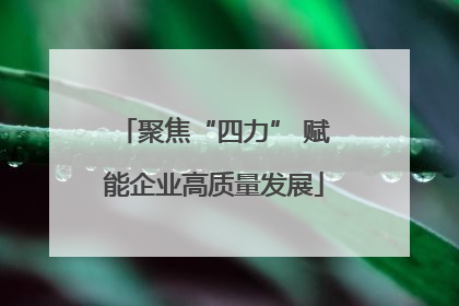 聚焦“四力” 赋能企业高质量发展