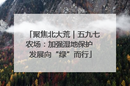 聚焦北大荒｜五九七农场：加强湿地保护 发展向“绿”而行
