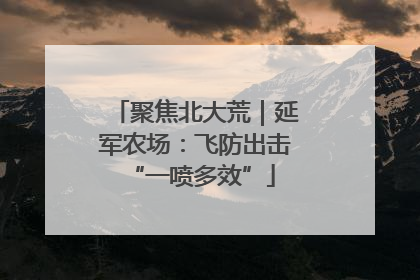 聚焦北大荒｜延军农场：飞防出击 “一喷多效”