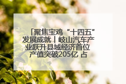 聚焦宝鸡“十四五”发展成就丨岐山汽车产业跃升县域经济首位 产值突破205亿 占规上工业75%