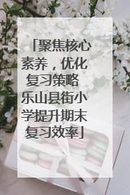 聚焦核心素养，优化复习策略 乐山县街小学提升期末复习效率