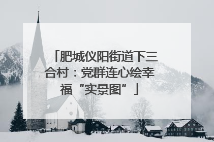 肥城仪阳街道下三合村：党群连心绘幸福“实景图”