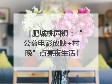 肥城桃园镇：“公益电影放映+村晚”点亮夜生活