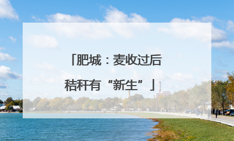 肥城：麦收过后秸秆有“新生”