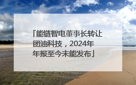 能链智电董事长转让团油科技，2024年年报至今未能发布