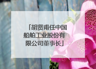 胡贤甫任中国船舶工业股份有限公司董事长