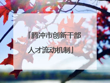 腾冲市创新干部人才流动机制