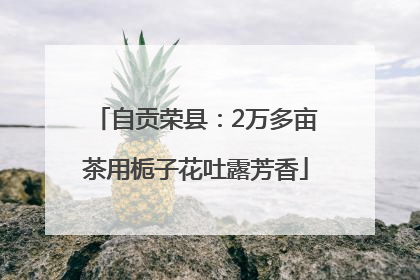 自贡荣县：2万多亩茶用栀子花吐露芳香