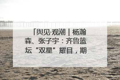 舆见·观潮｜杨瀚森、张子宇：齐鲁篮坛“双星”耀目，期许与挑战并存