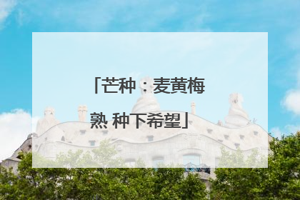 芒种：麦黄梅熟 种下希望
