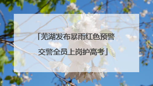 芜湖发布暴雨红色预警 交警全员上岗护高考