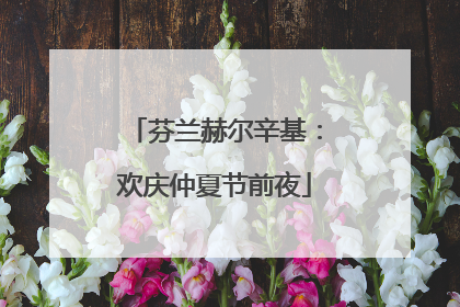 芬兰赫尔辛基：欢庆仲夏节前夜