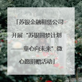 苏银金融租赁公司开展“苏银圆梦计划——童心向未来”微心愿捐赠活动
