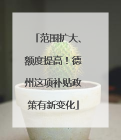 范围扩大、额度提高！德州这项补贴政策有新变化