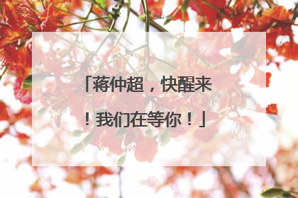 蒋仲超，快醒来！我们在等你！