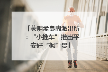 蒙阴孟良崮派出所：“小推车”推出平安好“枫”景