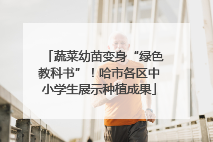 蔬菜幼苗变身“绿色教科书”！哈市各区中小学生展示种植成果