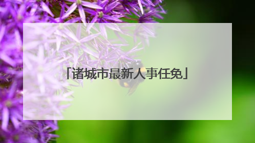 诸城市最新人事任免