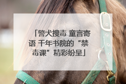 警犬搜毒 童言寄语 千年书院的“禁毒课”精彩纷呈