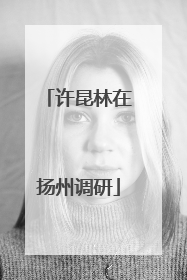 许昆林在扬州调研