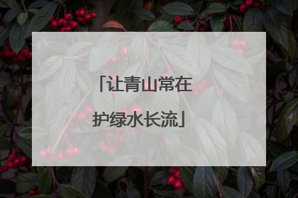 让青山常在 护绿水长流