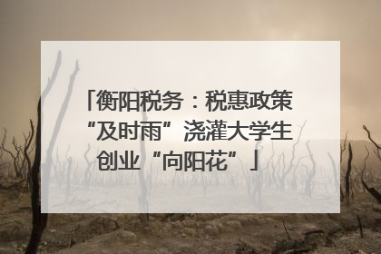 衡阳税务：税惠政策“及时雨”浇灌大学生创业“向阳花”