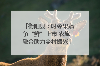 衡阳县：时令果蔬争“鲜”上市 农旅融合助力乡村振兴