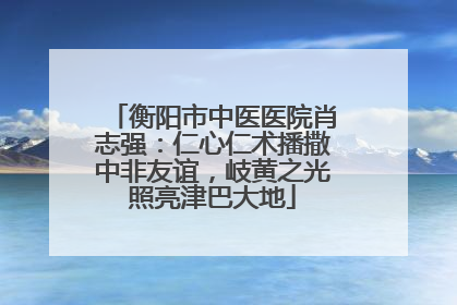 衡阳市中医医院肖志强：仁心仁术播撒中非友谊，岐黄之光照亮津巴大地