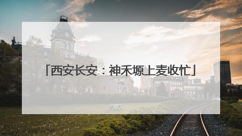 西安长安：神禾塬上麦收忙