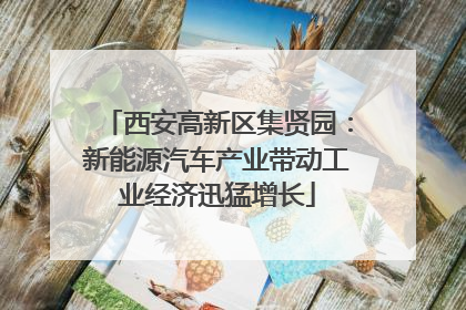 西安高新区集贤园：新能源汽车产业带动工业经济迅猛增长