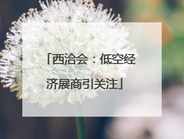 西洽会：低空经济展商引关注