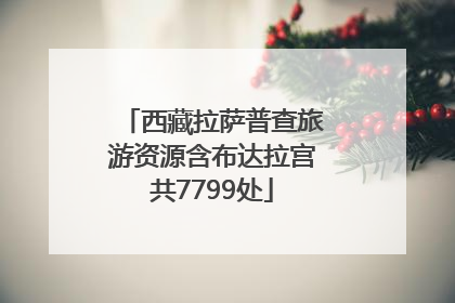 西藏拉萨普查旅游资源含布达拉宫共7799处