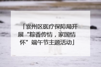襄州区医疗保障局开展“粽香传情，家国情怀”端午节主题活动