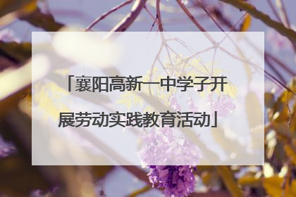 襄阳高新一中学子开展劳动实践教育活动
