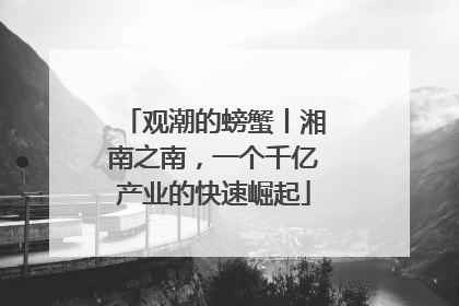 观潮的螃蟹丨湘南之南，一个千亿产业的快速崛起