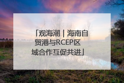 观海潮｜海南自贸港与RCEP区域合作互促共进