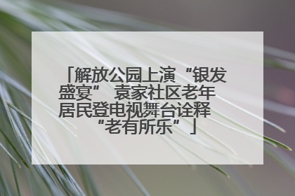 解放公园上演“银发盛宴” 袁家社区老年居民登电视舞台诠释 “老有所乐”