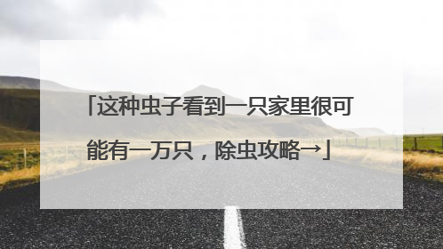 这种虫子看到一只家里很可能有一万只，除虫攻略→