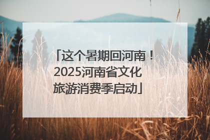 这个暑期回河南！2025河南省文化旅游消费季启动