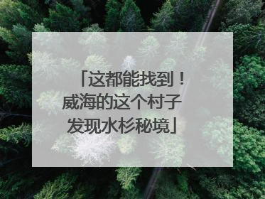 这都能找到！威海的这个村子发现水杉秘境