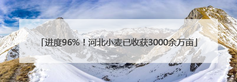 进度96%！河北小麦已收获3000余万亩