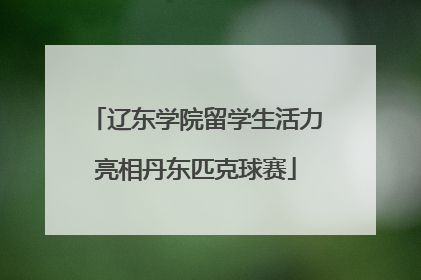 辽东学院留学生活力亮相丹东匹克球赛
