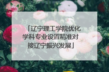 辽宁理工学院优化学科专业设置精准对接辽宁振兴发展