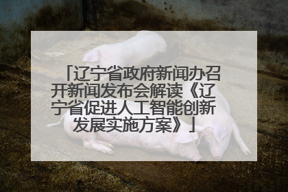 辽宁省政府新闻办召开新闻发布会解读《辽宁省促进人工智能创新发展实施方案》