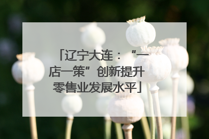 辽宁大连：“一店一策”创新提升零售业发展水平