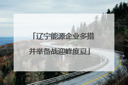 辽宁能源企业多措并举备战迎峰度夏