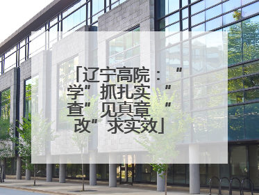 辽宁高院：“学”抓扎实 “查”见真章 “改”求实效