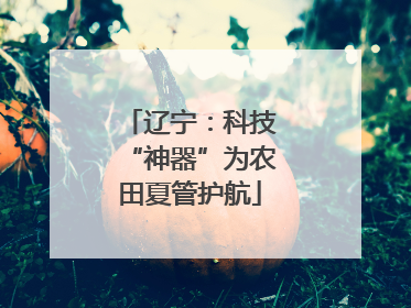 辽宁：科技“神器”为农田夏管护航