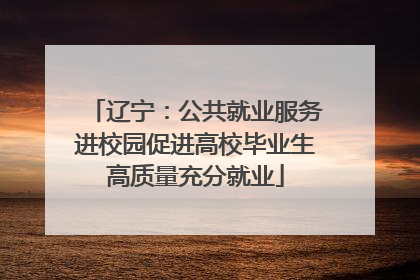 辽宁：公共就业服务进校园促进高校毕业生高质量充分就业